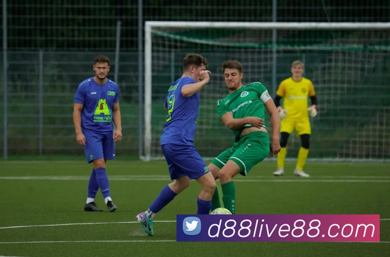 d88尊龙z6服务体系