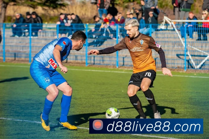 d88尊龙z6APP 体育赛事宣传图